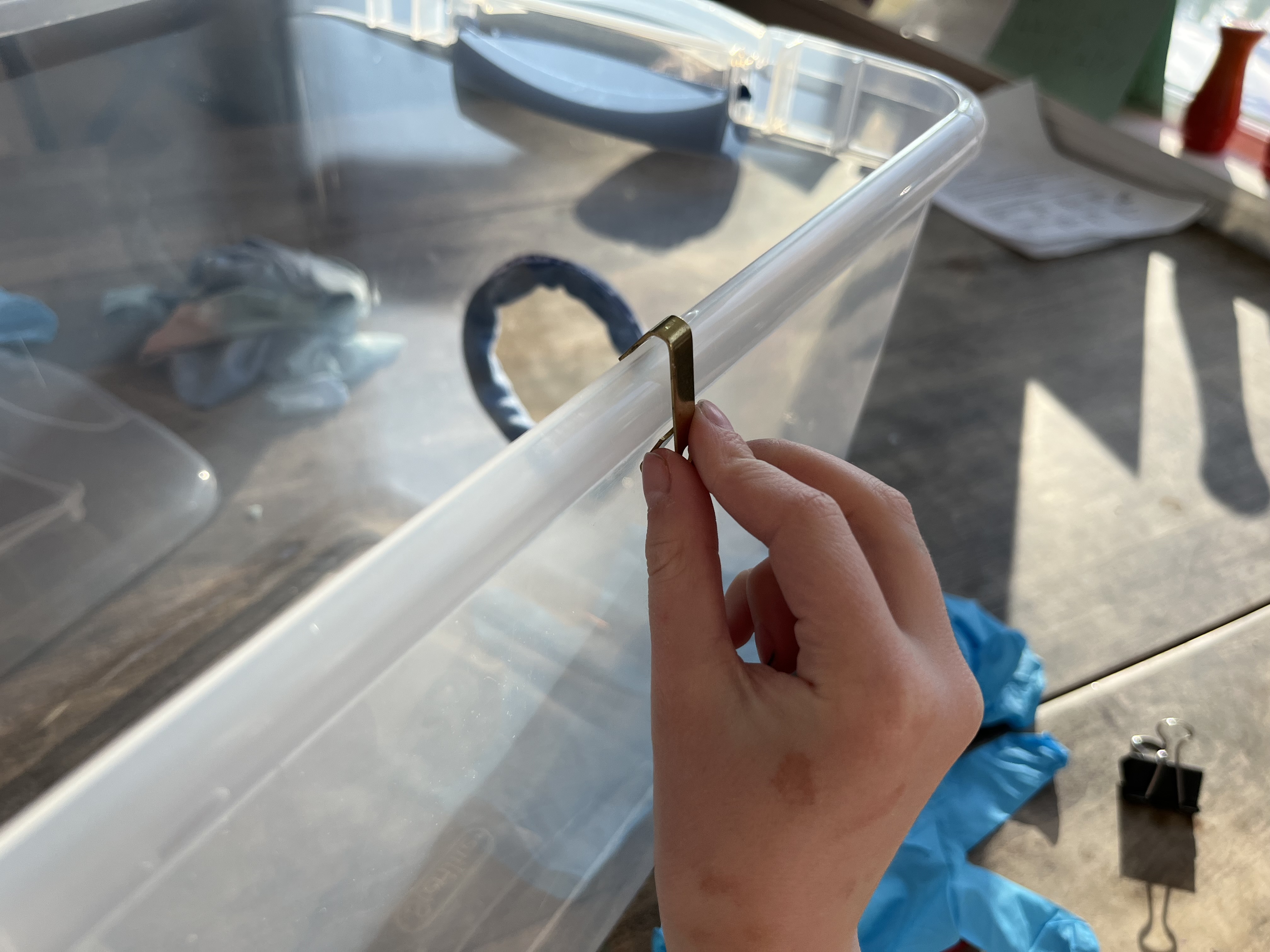 The golden picture frame hook