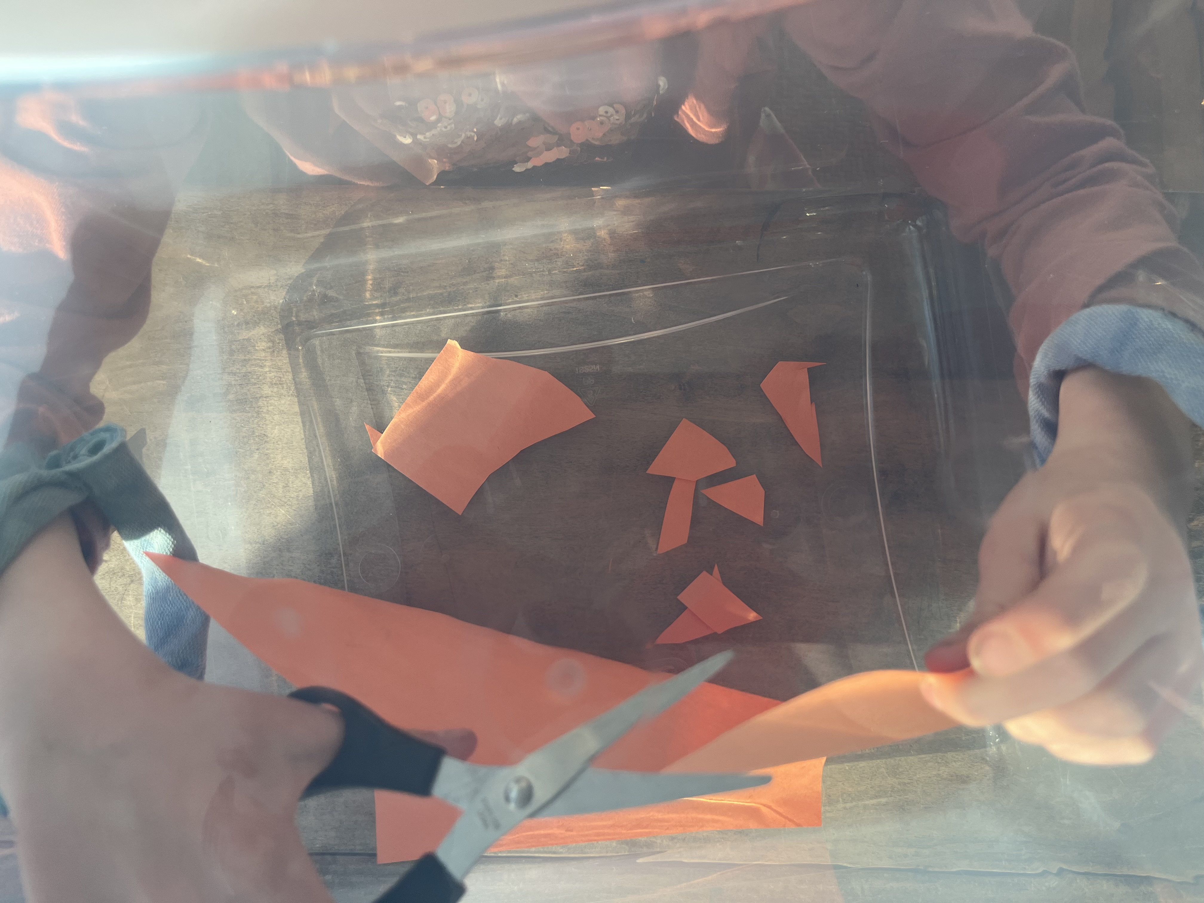 The kitty cat craft project